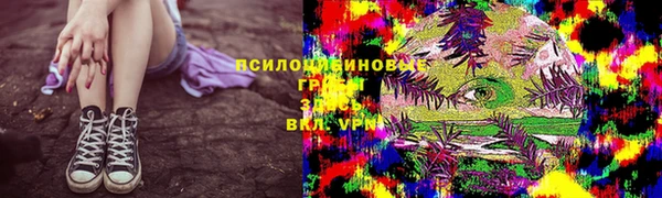 амф Надым
