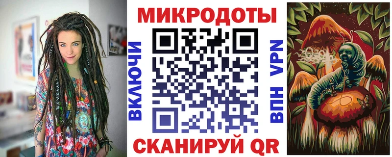 где можно купить   Россошь  Галлюциногенные грибы Cubensis 